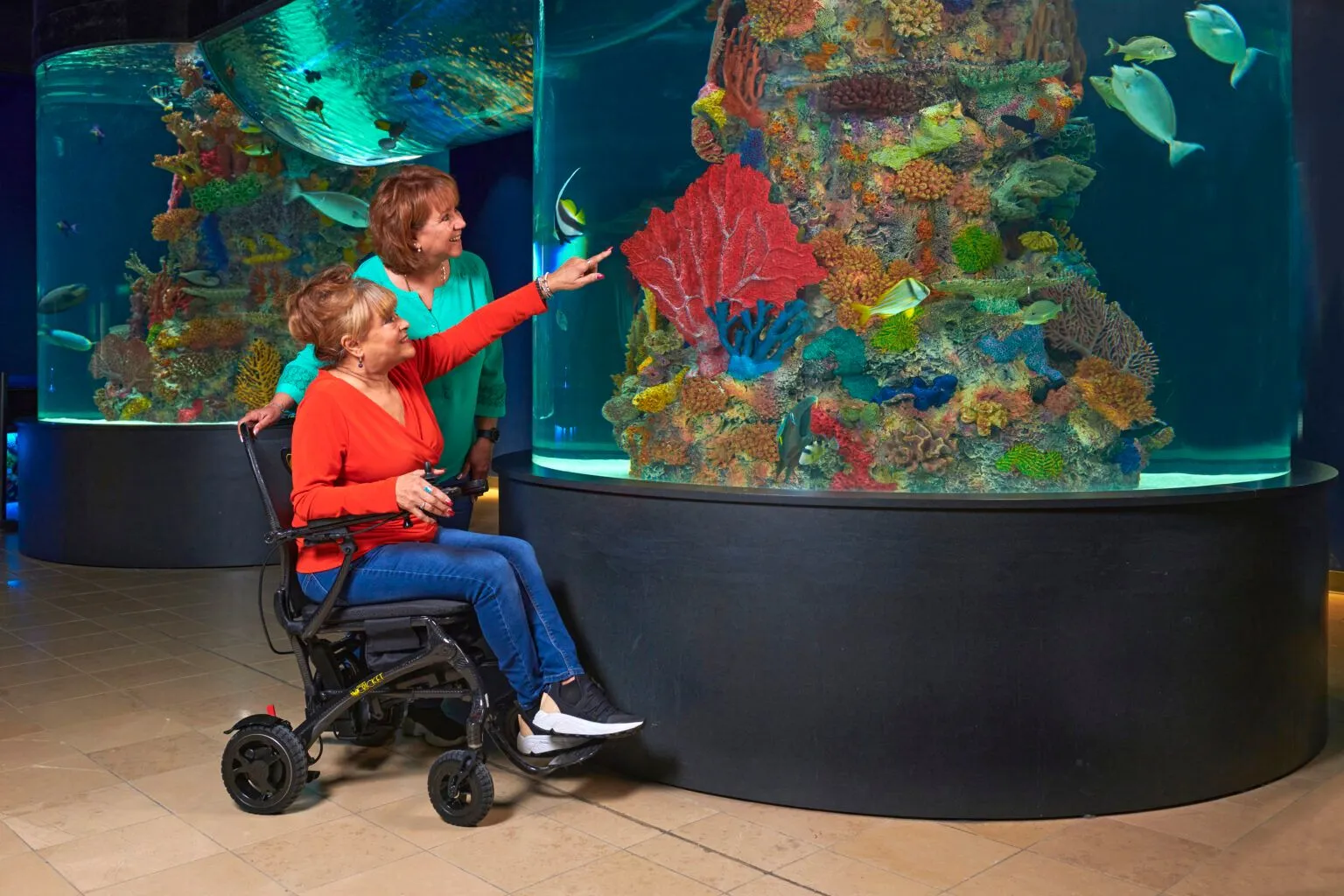 Cricket_Aquarium_Pointing1_DSC6454_EDIT_1536x1024_jpg-1920w